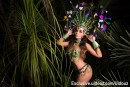 Have you ever been to a carnival?
